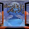 tarek.tarek8295