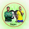 sejan.mahmud82