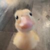 monkonehundred