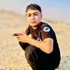 chenar336