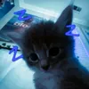 pr3ttyprincess.twojstary