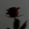 user6133819539360