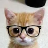 gatinho.psiclogo6