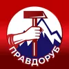 Pravdoryb