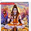sell.vaani