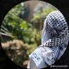 chahed.cherif0