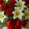 razin.ali27