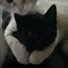 story_story0n