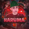 haruma_legenda