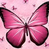llyxx12
