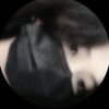 md.mohin0607