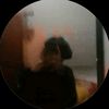dgh_denx77