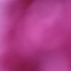 hanif.slebew7