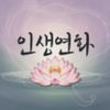 인생연화