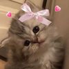 .lm9o8