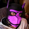 d_pup666