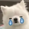 Kai Nè🐣