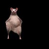 gynygyny44