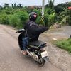 d.alex519