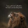 alwajih632
