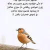 user2961160733713
