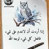 user450425439738