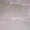 beebeenep0