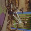 evaapap13