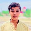sadar.din202