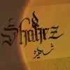 shahez_09