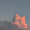 pjmxjaj