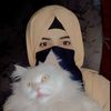 alishahrjo3