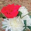 user9738513126669