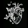user7413007720145