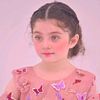 zahir.khan11016