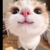 ohwhoisu095