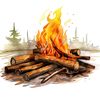 61.camping