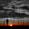emad.hedar0