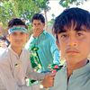 pti.804518