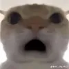 thichankemkhoaimon14