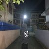 levver01