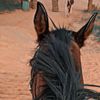 mohmed898989895656b52