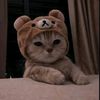 nurlan_3193