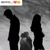 fardin.shakq