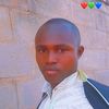 user393llroja
