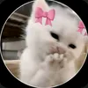 qtxx_linaaa2acc