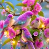 kusum.liyanage2