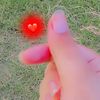 .sico.afridi