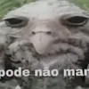 eoandrenepae
