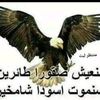 user76735598810138